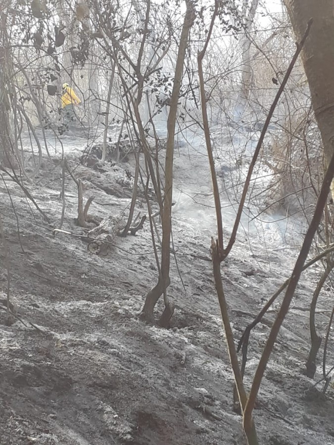 Machareti le da un plazo de 24 horas al Gobierno Nacional, ante la impotencia  de sofocar los incendios forestales 