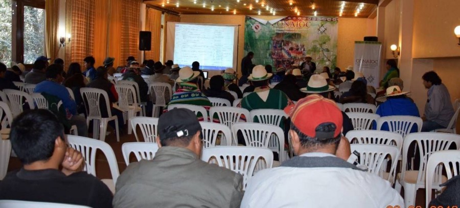 La CONAIOC presentar&aacute; al TCP un recurso de inconstitucionalidad contra el referendo de aprobaci&oacute;n de los estatutos auton&oacute;micos ind&iacute;genas